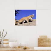 Bergleeuw op de Stalk Print (Keuken)