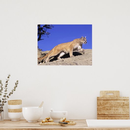 Bergleeuw op de Stalk Print (Keuken)