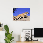 Bergleeuw op de Stalk Print (Thuiskantoor)