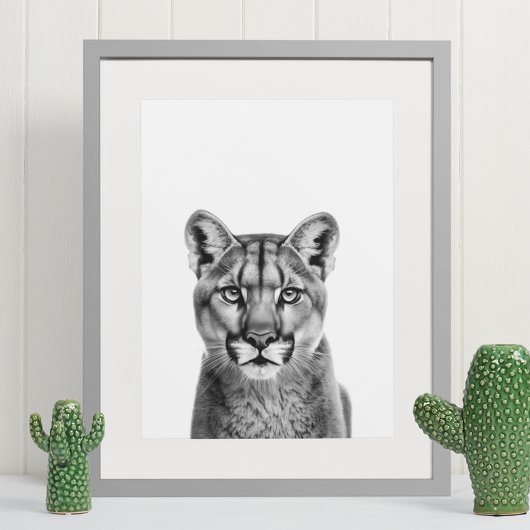 Bergleeuw Puma Grote Katachtige Zwart Wit Poster