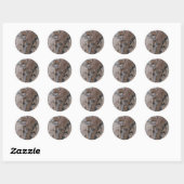 Bergleeuw rotsklimmen ronde sticker (Vel)