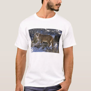 Bergleeuw T-shirt