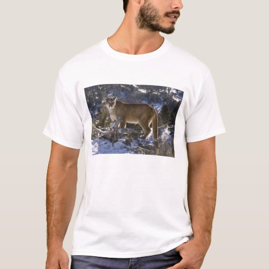Bergleeuw T-shirt (Voorkant)