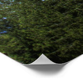 Berglicht HDR Afdrukken met scripts Verse Poster (Hoek)