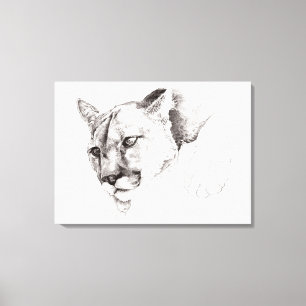 Berglion Drawing Stretched Canvas Afdrukken