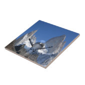 Berglucht Tegeltje (Zijkant)