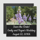 Berglupinen in Yosemite (Voorkant / Achterkant)