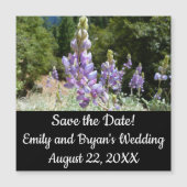 Berglupinen in Yosemite (Voorkant)