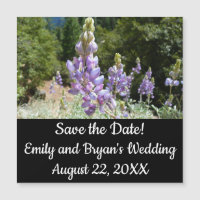 Berglupinen in Yosemite