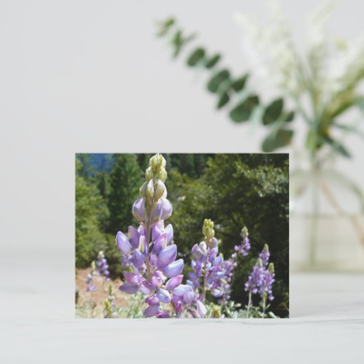 Berglupinen in Yosemite (Staand voorkant)