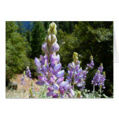 Berglupinen in Yosemite (Voorkant Horizontaal)