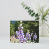 Berglupinen in Yosemite Briefkaart (Staand voorkant)