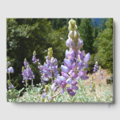 Berglupinen in Yosemite Gastenboek (Achterkant)