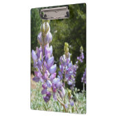 Berglupinen in Yosemite Klembord (Links)