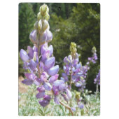 Berglupinen in Yosemite Klembord (Achterkant)