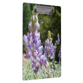 Berglupinen in Yosemite Klembord (Rechts)