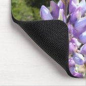 Berglupinen in Yosemite Muismat (Hoek)