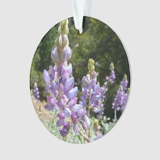 Berglupinen in Yosemite Ornament (voorkant)