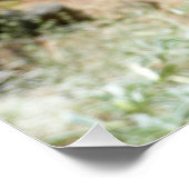 Berglupinen in Yosemite Perfect Poster (Hoek)