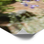 Berglupinen in Yosemite Poster (Hoek)