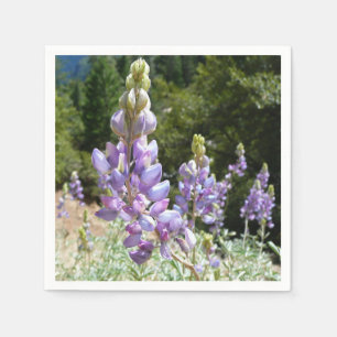 Berglupinen in Yosemite Servetten