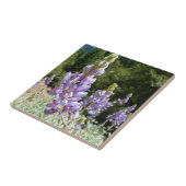 Berglupinen in Yosemite Tegeltje (Zijkant)