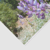 Berglupinen in Yosemite Tissuepapier (Detail)