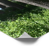 Bergmeer, bos poster (Hoek)