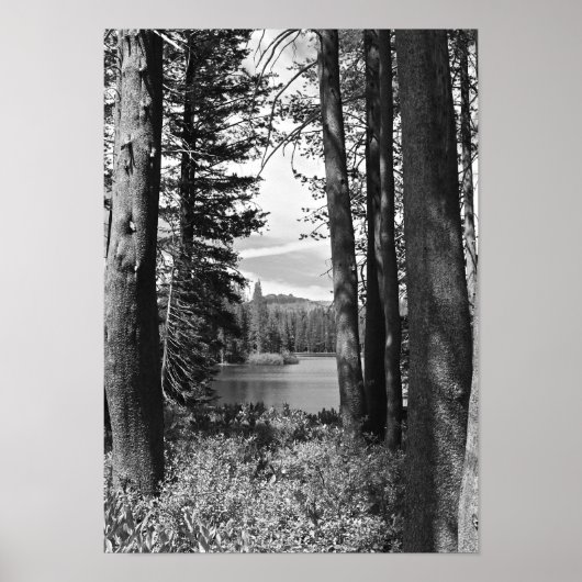 Bergmeer, bos, zwart en wit (portret) poster (Voorkant)
