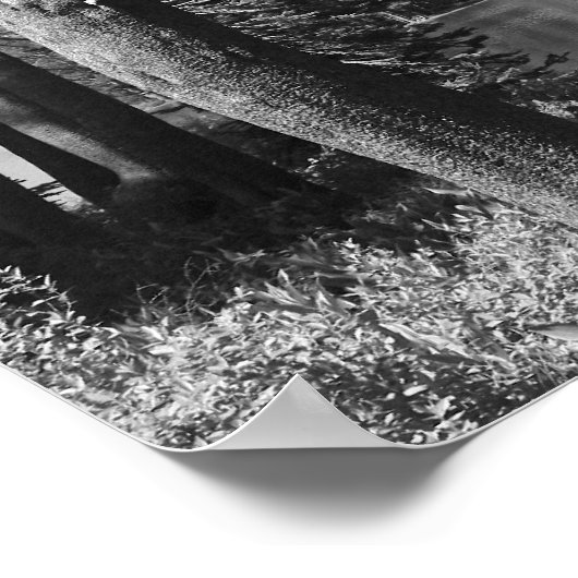 Bergmeer, bos, zwart en wit poster (Hoek)