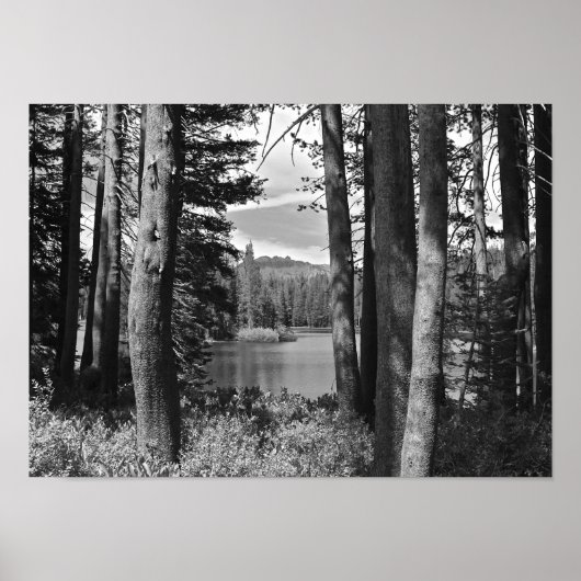 Bergmeer, bos, zwart en wit poster (Voorkant)