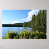 Bergmeer, Canoe, wilde bloemen Poster (Voorkant)