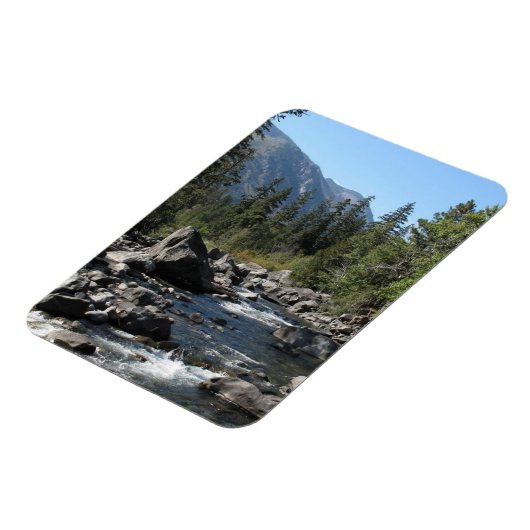 bergmeer magneet (Linkerzijde)