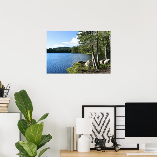 Bergmeer, pijnbomen, kat poster (Thuiskantoor)