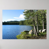 Bergmeer, pijnbomen, kat poster (Voorkant)