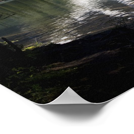 Bergmeer reflecterend gebergte bedekt met bomen poster (Hoek)