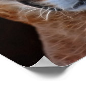 bergolepuma poster (Hoek)