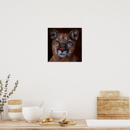 bergolepuma poster (Keuken)