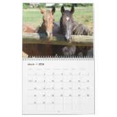 Bergpaarden in 2012 kalender (Mar 2026)