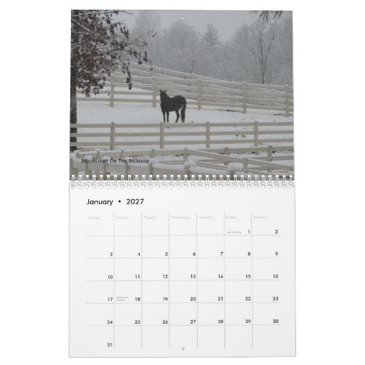 Bergpaarden in 2012 kalender (Jan 2027)