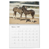 Bergpaarden in 2012 kalender (Feb 2027)
