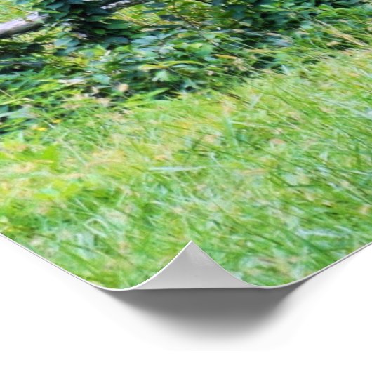 Bergpaarden, Ranch Relaxin' Poster (Hoek)