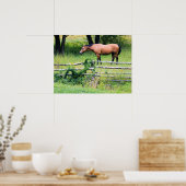Bergpaarden, Ranch Relaxin' Poster (Keuken)