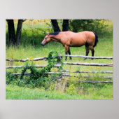 Bergpaarden, Ranch Relaxin' Poster (Voorkant)