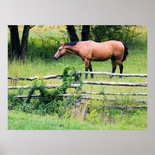 Bergpaarden, Ranch Relaxin' Poster (Voorkant)
