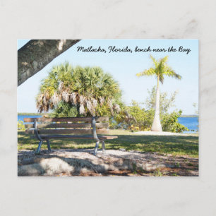 Bergpalm Bay Matlacha Florida Briefkaart