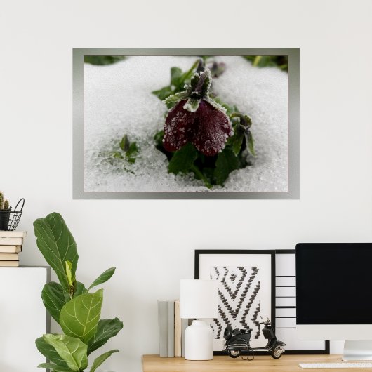 Bergpansie Poster (Thuiskantoor)