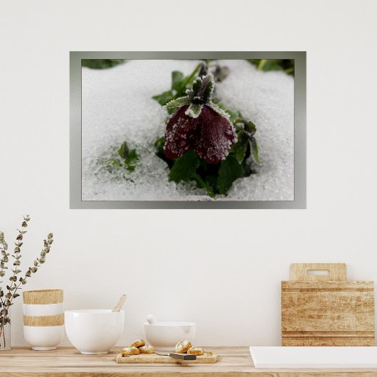 Bergpansie Poster (Keuken)