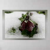 Bergpansie Poster (Voorkant)