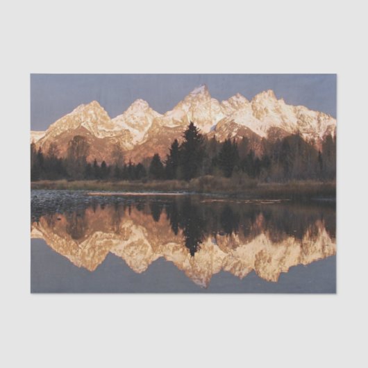 Bergreflectietoestel Tissuepapier (Voorkant)